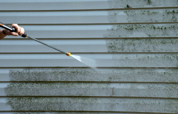 Best Local Pressure Washing Services  in Dutch Island, GA