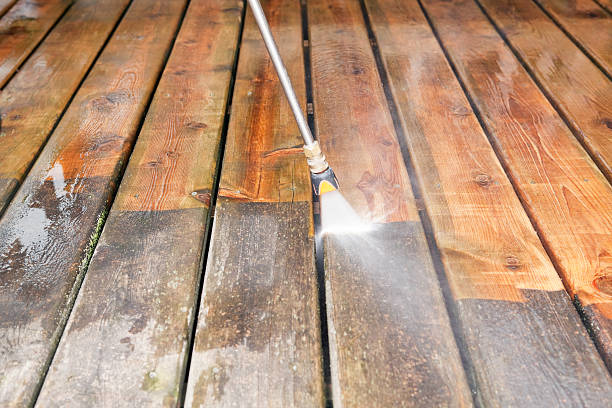 Best Roof Pressure Washing  in Dutch Island, GA