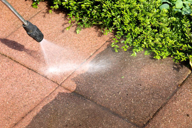 Professional Pressure Washing in Dutch Island, GA